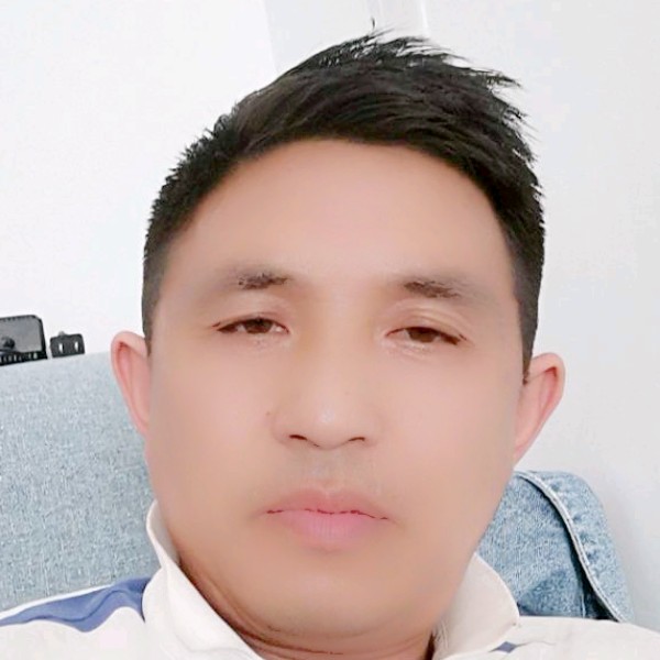 小刺猬回眸无奈的照片
