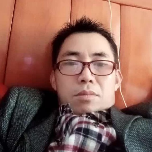 羽毛灵巧的照片