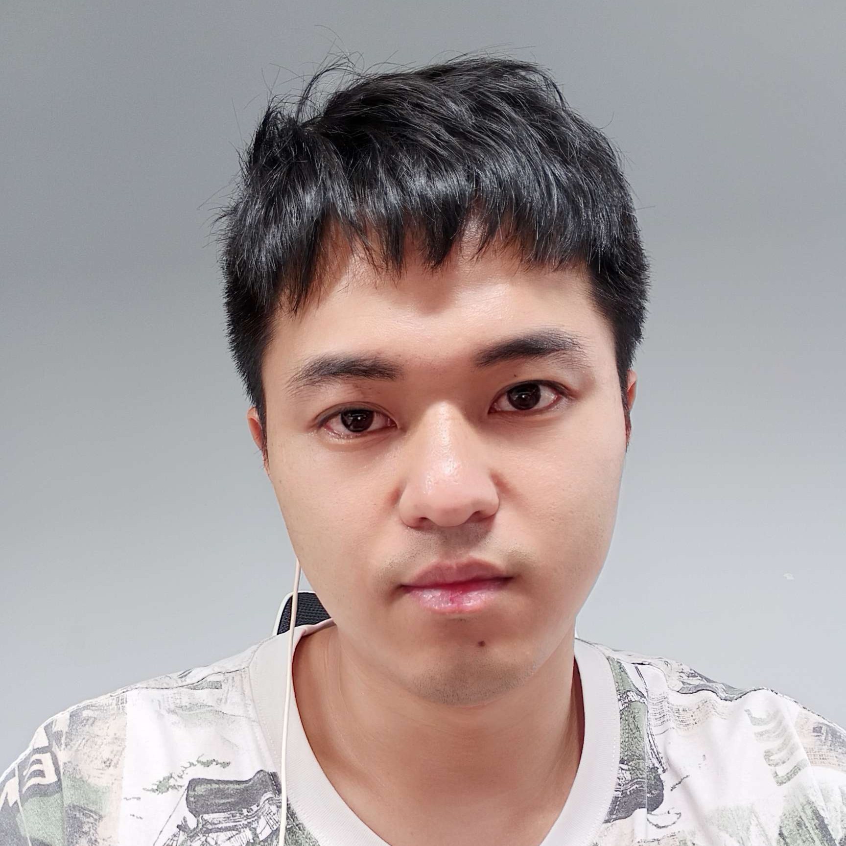叶片间的微光的照片