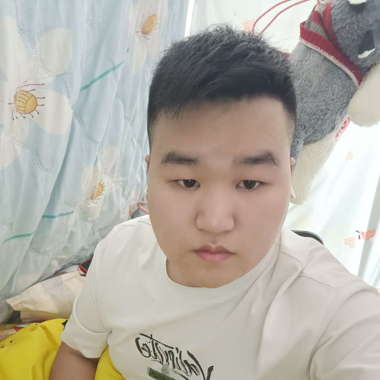小熊猫放弃忧郁的照片