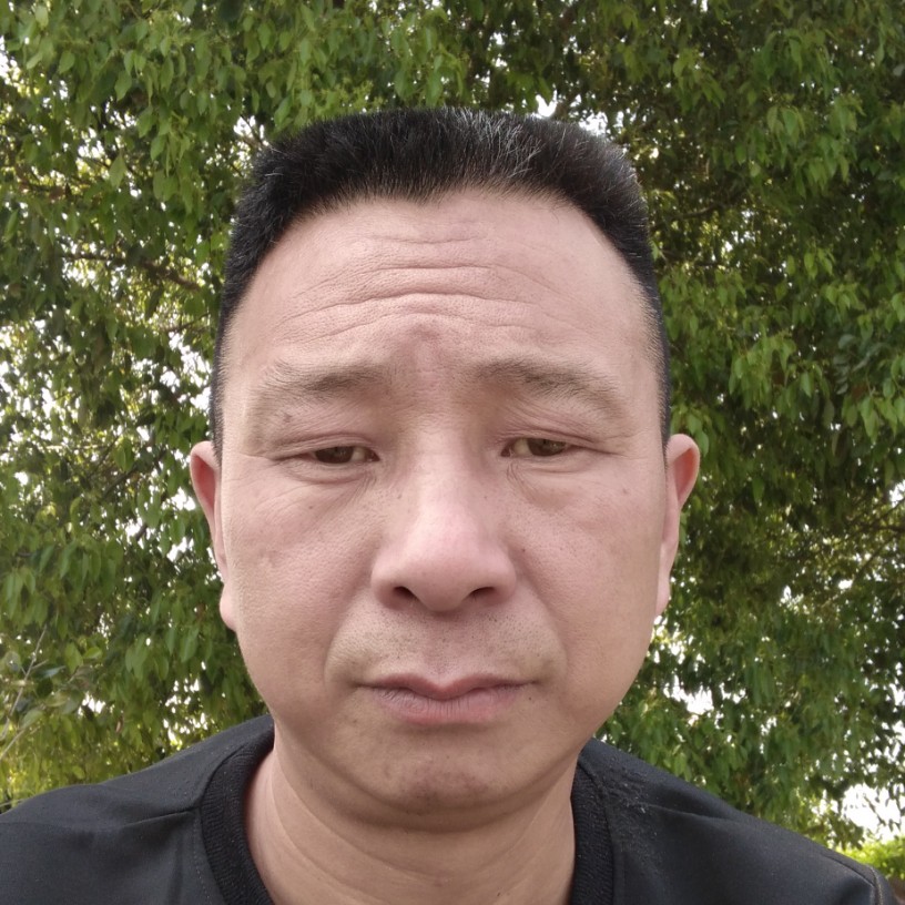 火车苦恋黯然的照片