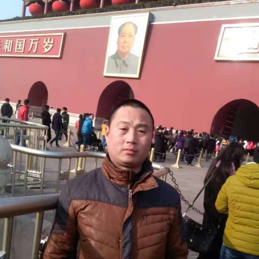 任意飞的照片