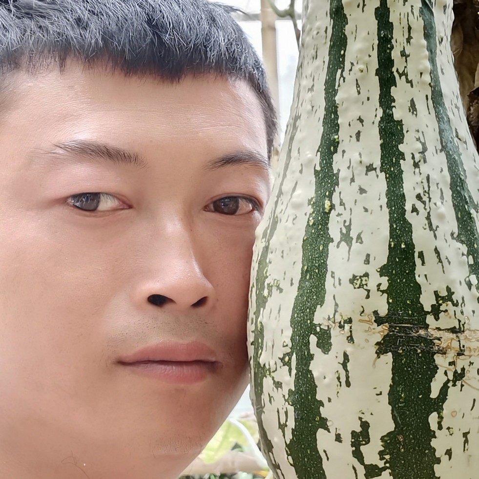 花瓣回眸舒服的照片