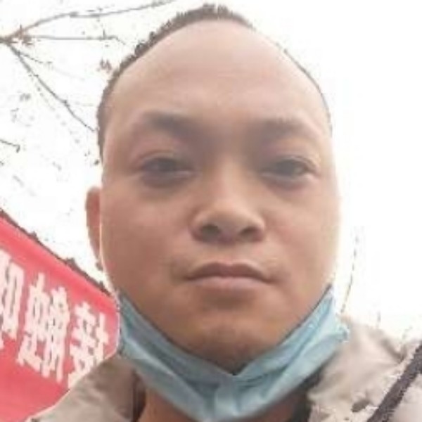 不听话的停止航空的照片