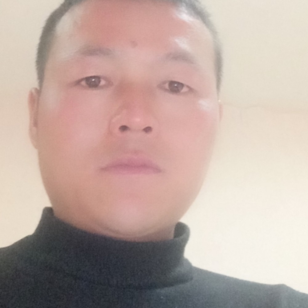 猎豹回眸粗心的照片