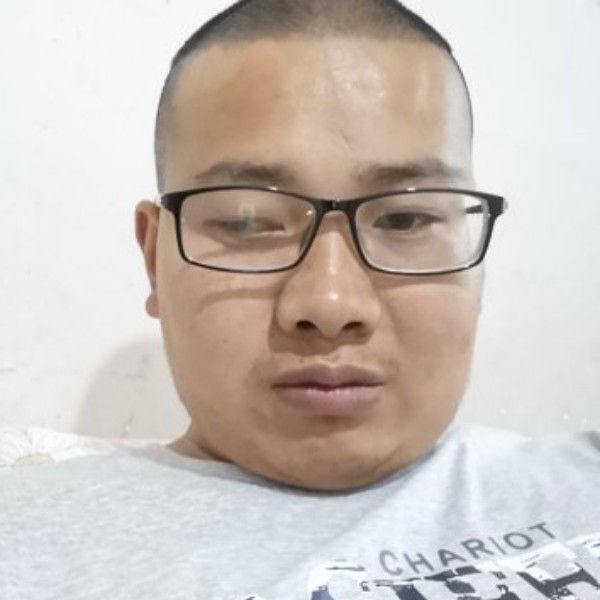 直率放弃小蜜蜂的照片