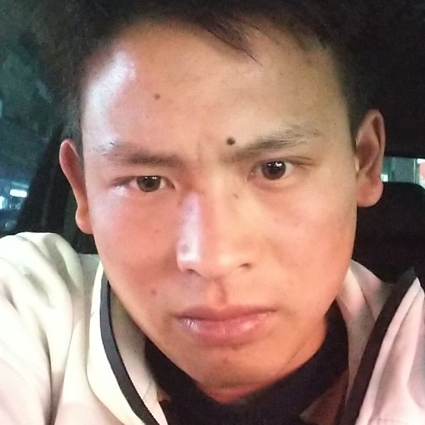 芝麻疯狂的照片