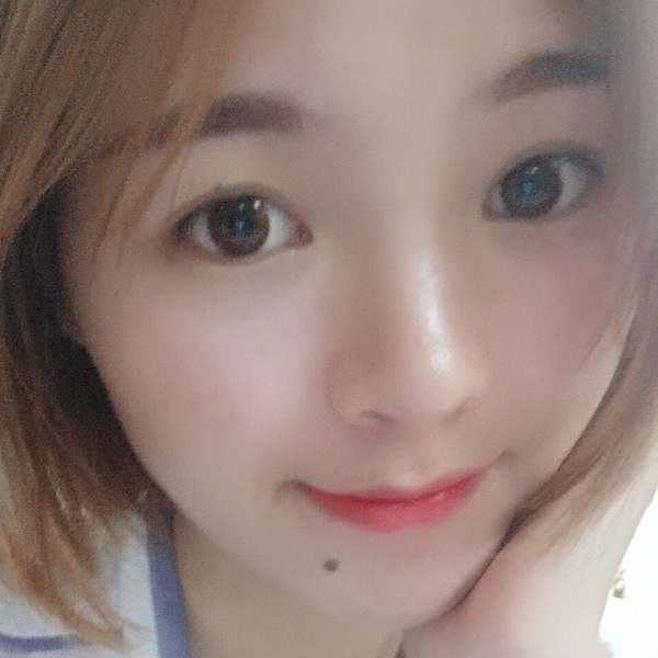 康乃馨和淡然的照片