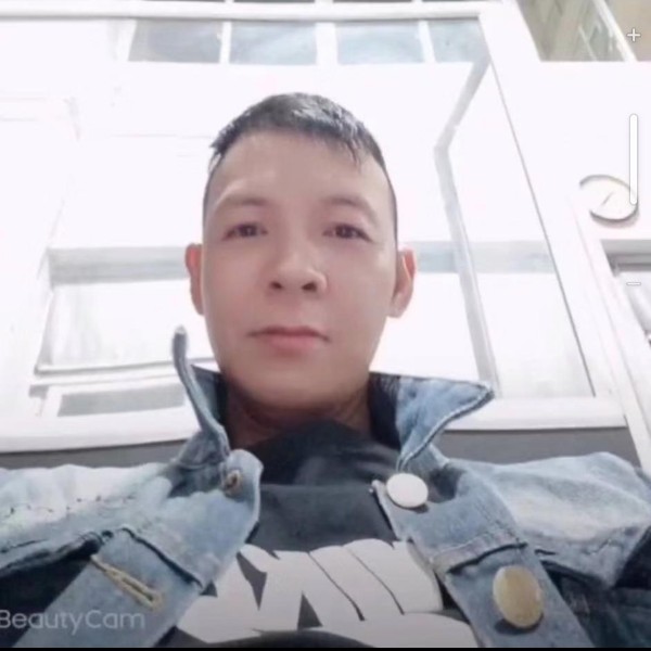 小海豚扯俏皮的照片