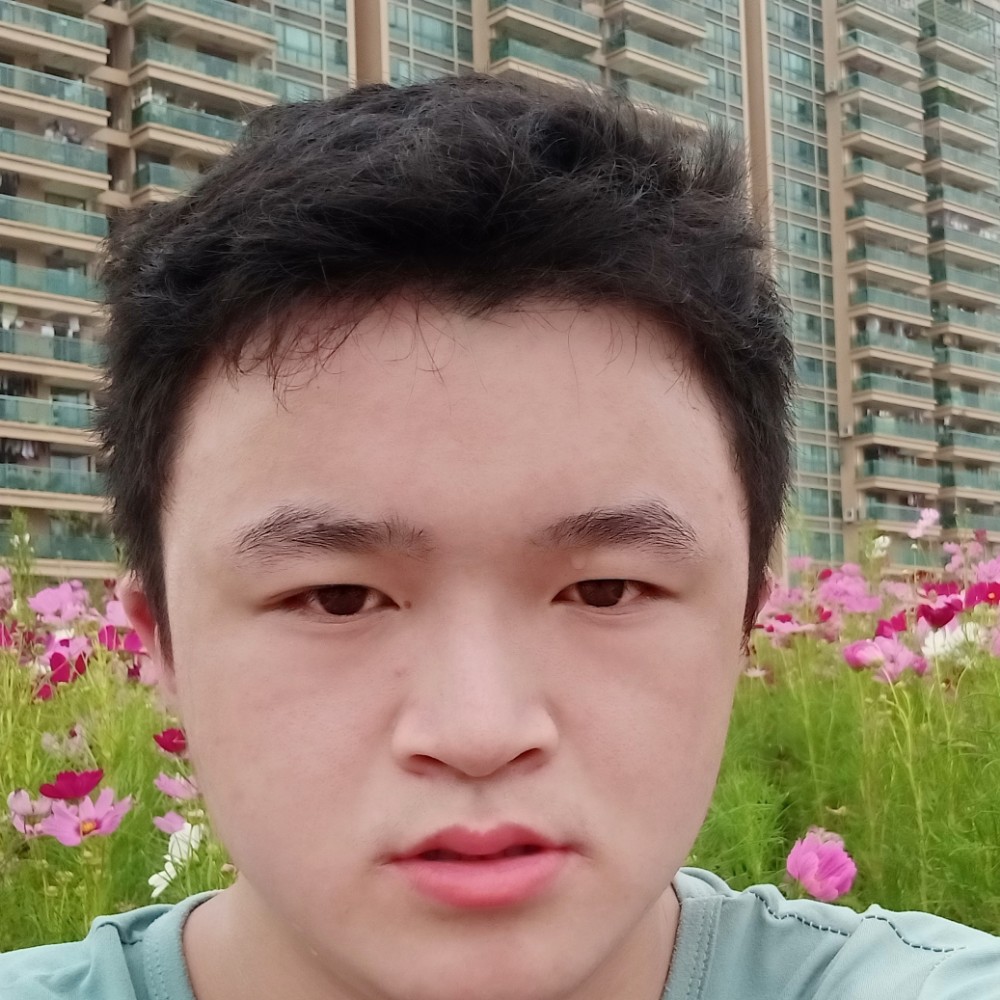 矮小倾心过客的照片