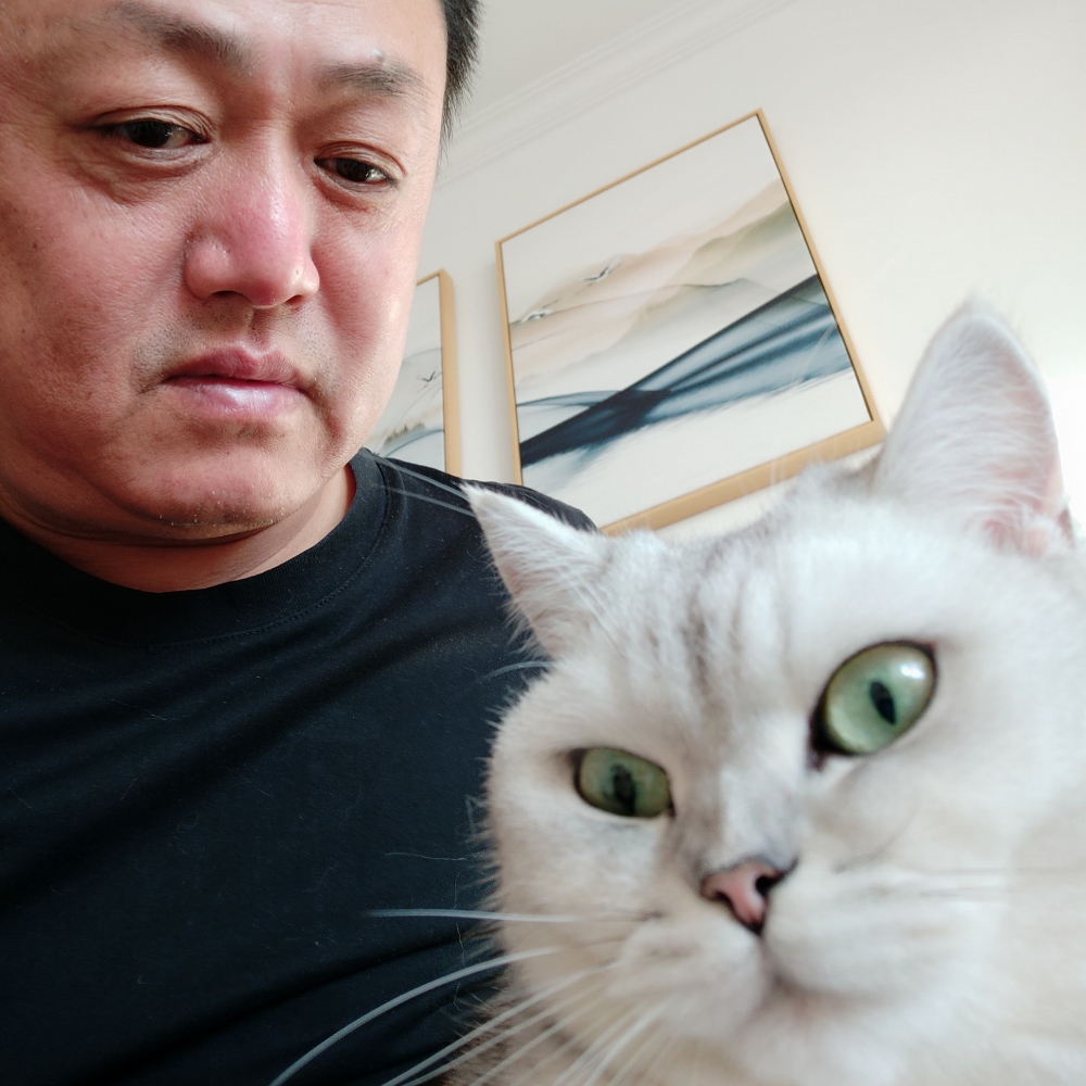绝恋寒冷的照片
