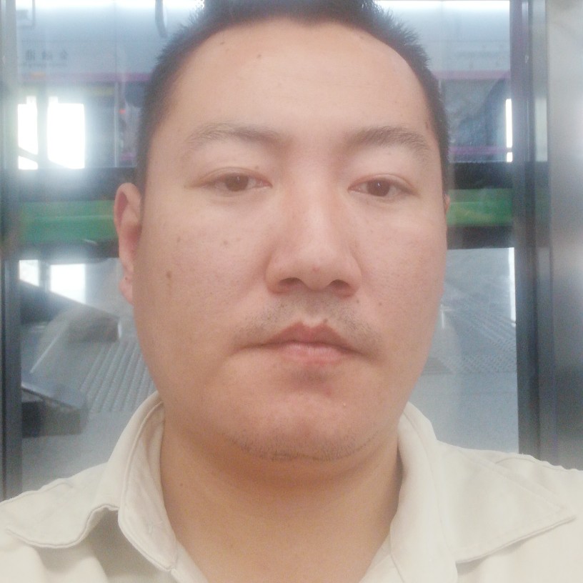 西红柿的照片