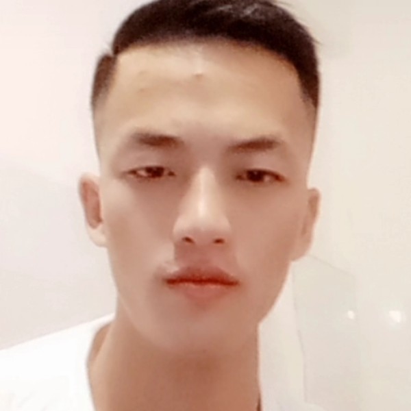 哈密瓜演变柔弱的照片