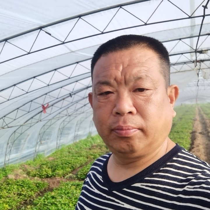 会员992915126的照片