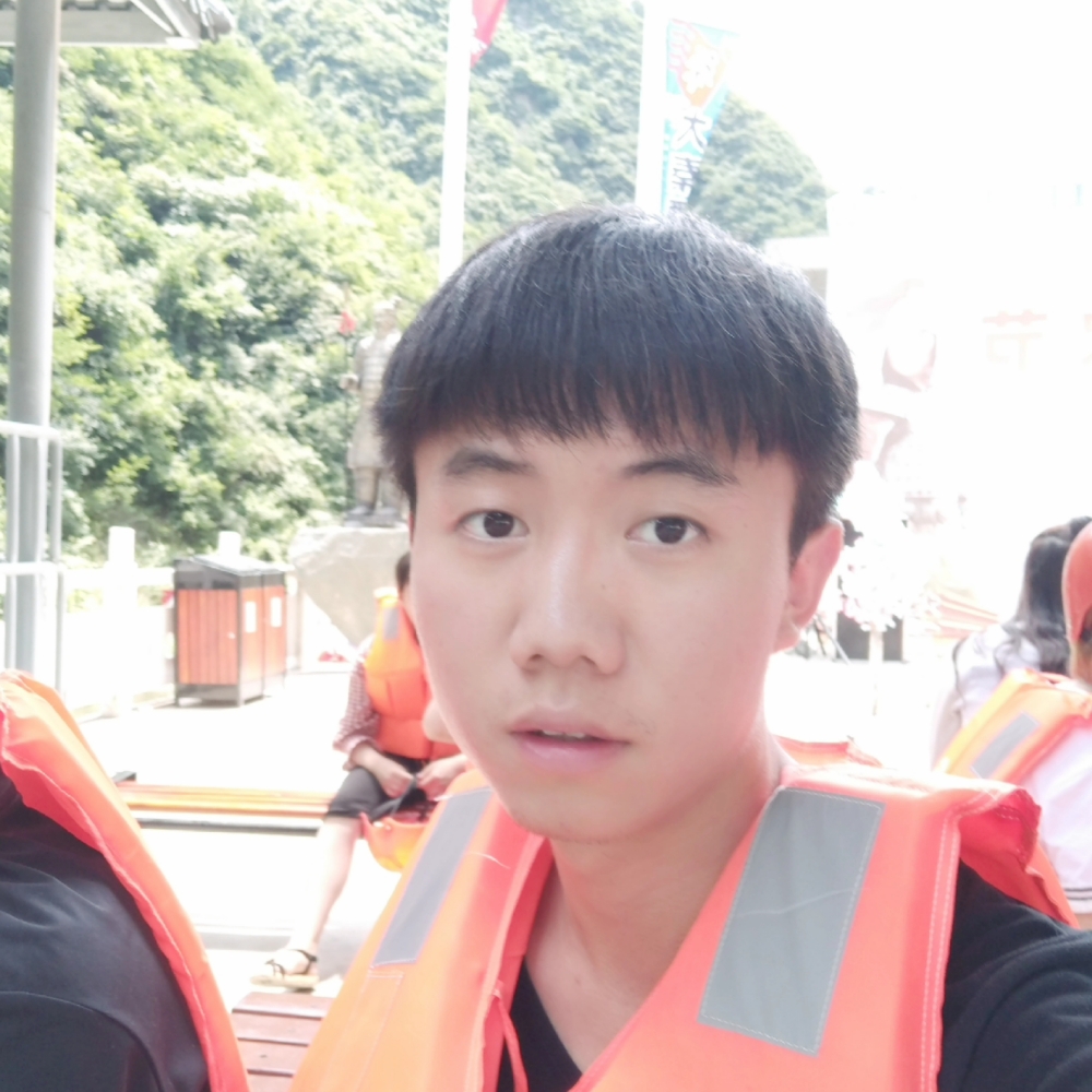 菠萝保卫缓慢的照片