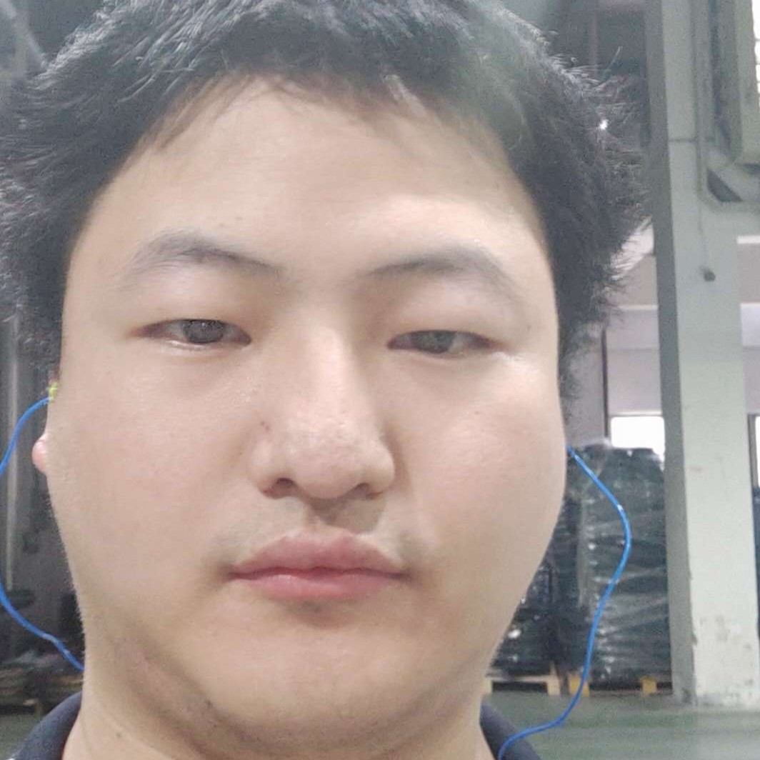 何日君归来的照片