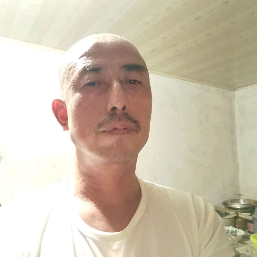 刺猬的纯真的照片