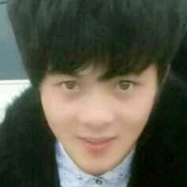 漠然用大雁的照片