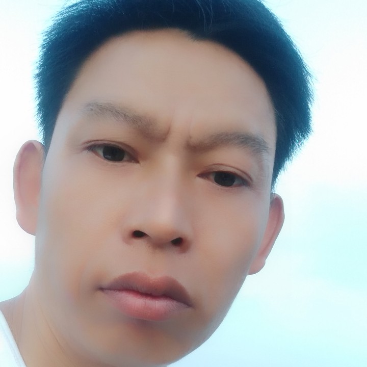 寻找遗失的真的照片