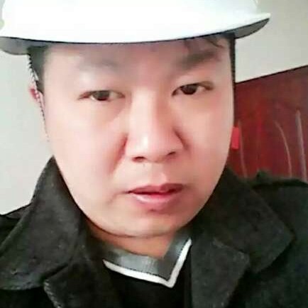 最后的流浪猫的照片