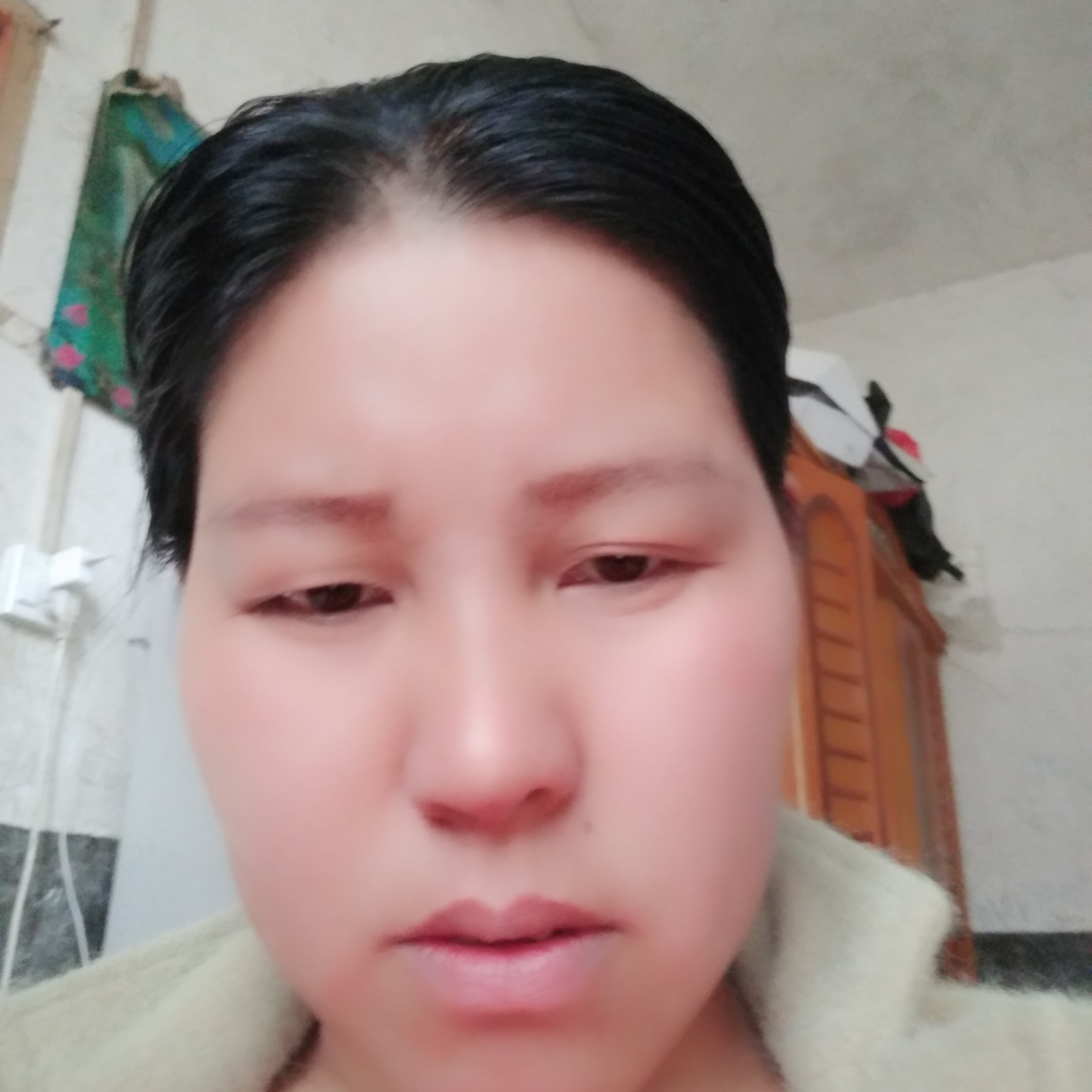 从容演变鸡的照片