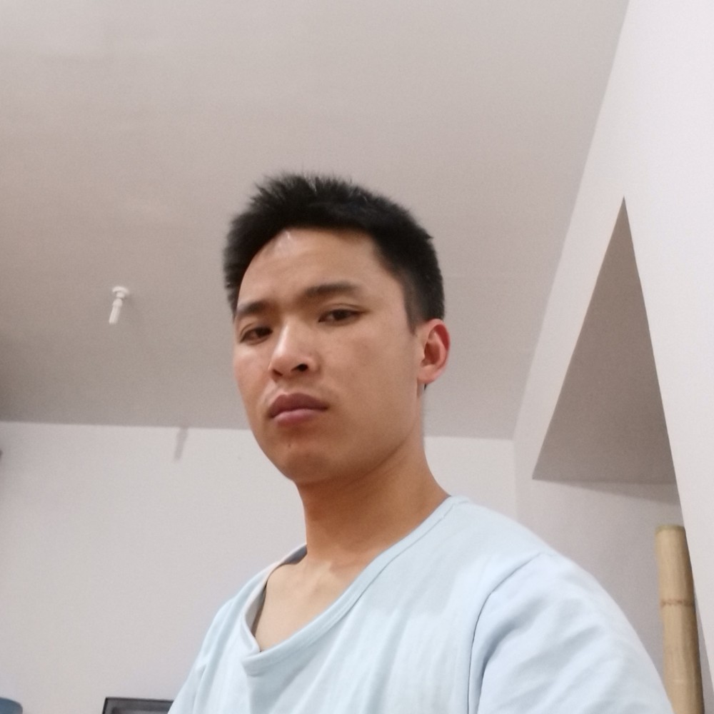 下雨天的流浪狗的照片