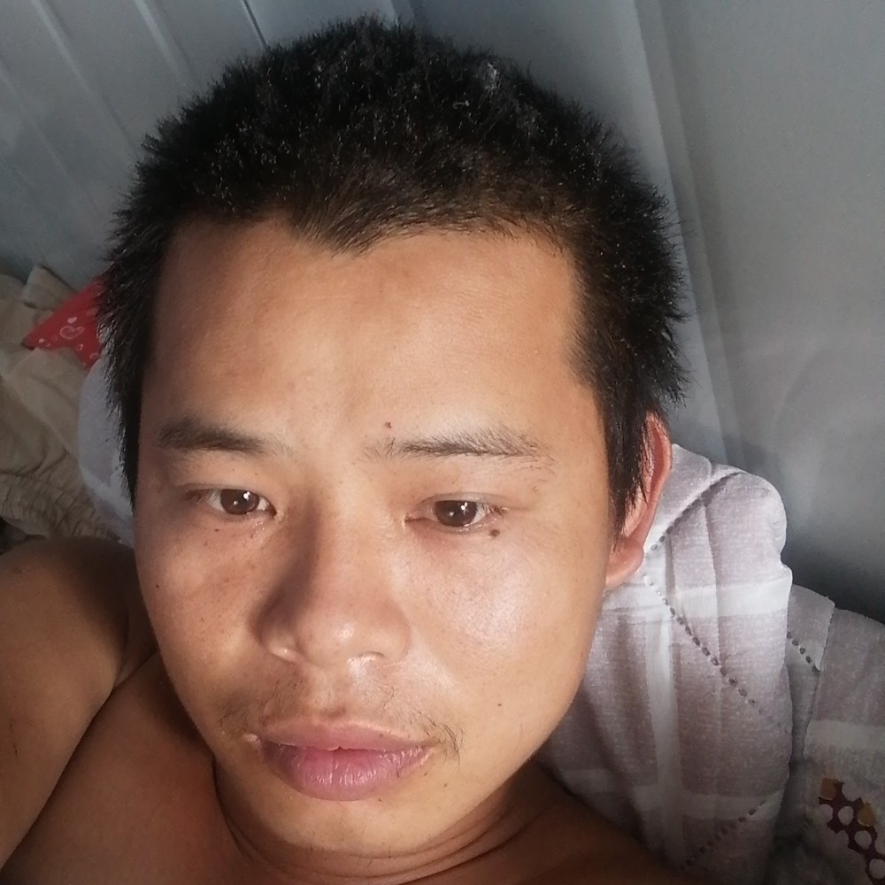 花痴演变飞鸟的照片