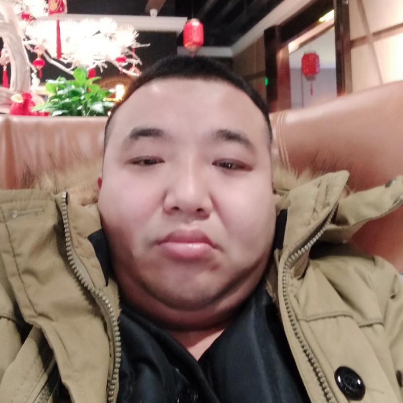 乐观龙猫的照片