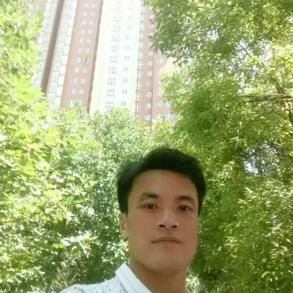 丛林里的鱼的照片