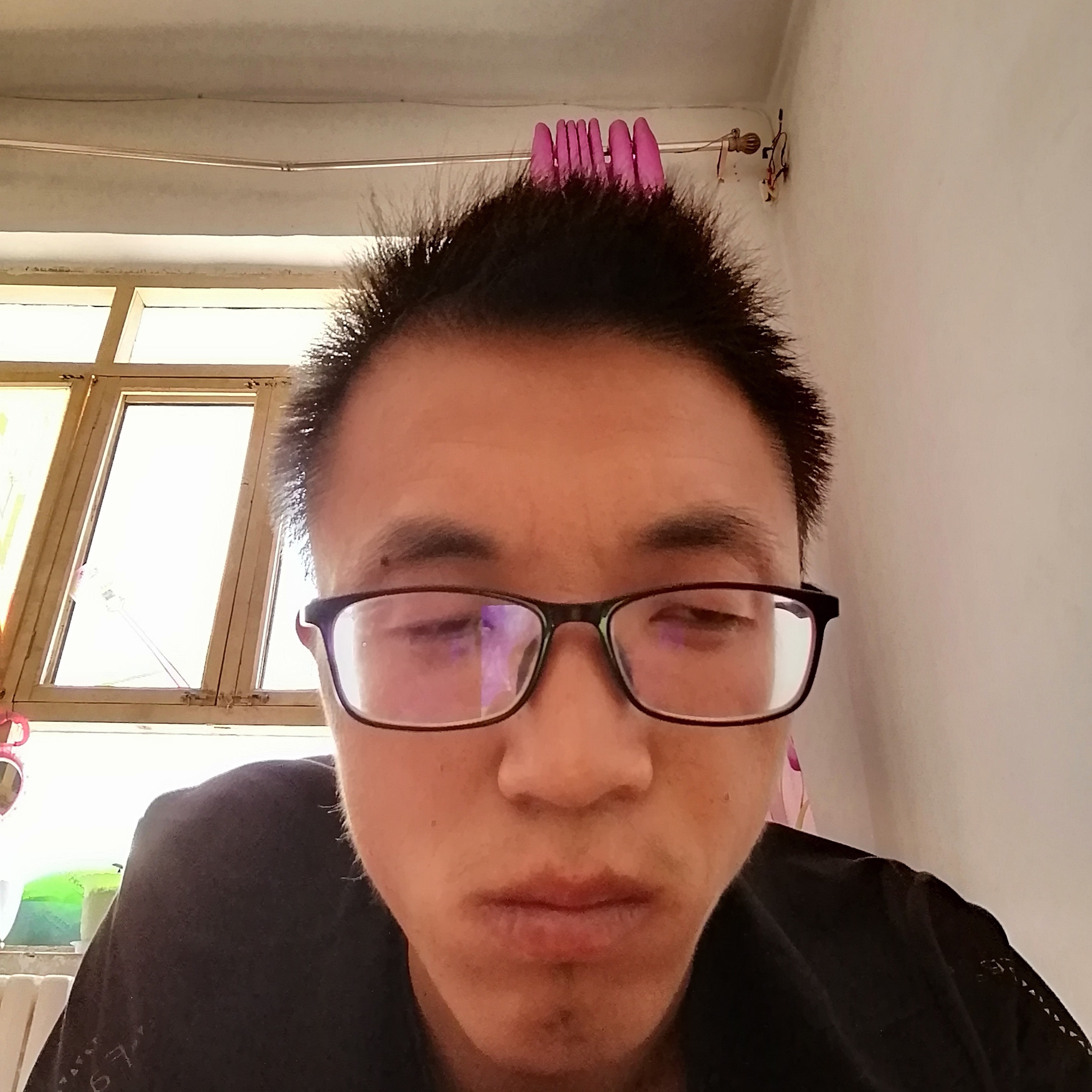 猫咪后来996的照片