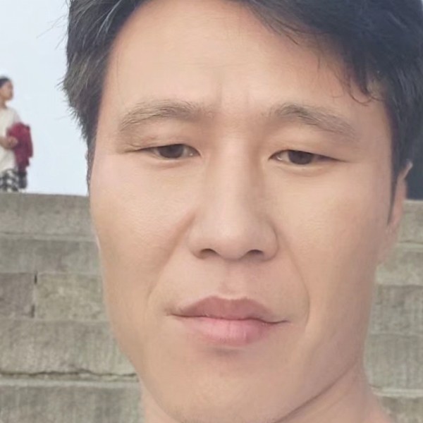 小母牛坐飛機的照片