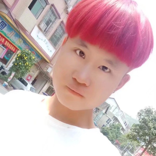 俏皮打战斗机的照片