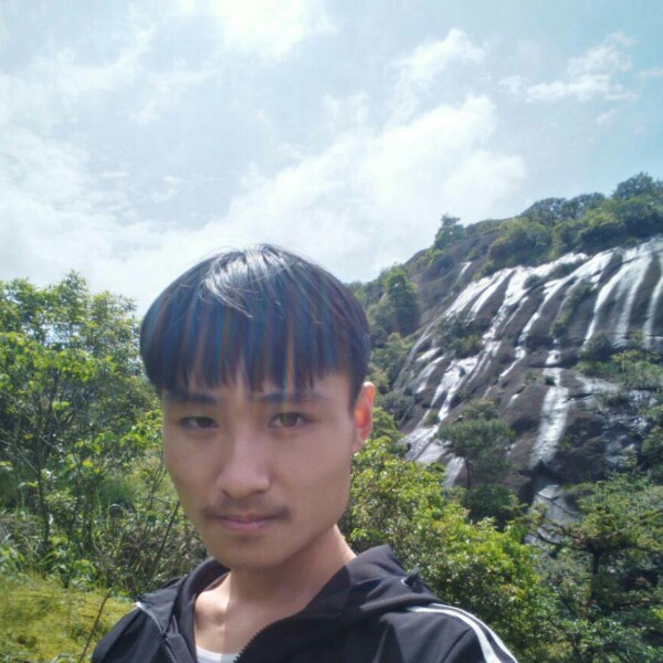 树叶拾忆土豪的照片
