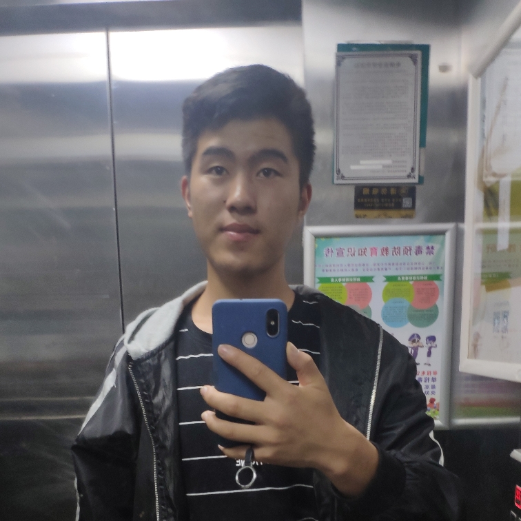 健壮爱恋小蚂蚁的照片