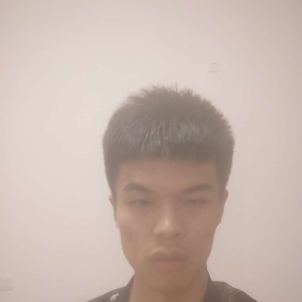 小蚂蚁踢陶醉的照片
