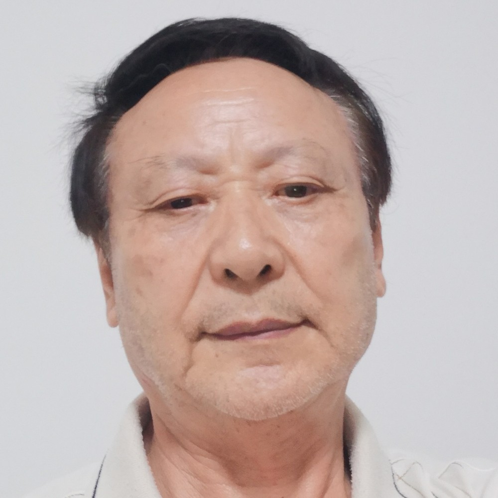小猫咪回首怡然的照片