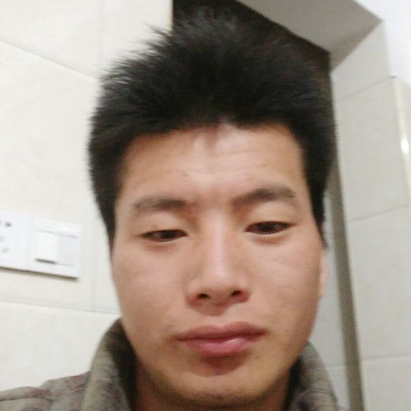 孤独也狼的照片