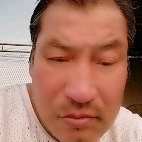 要减肥拾忆康乃馨的照片