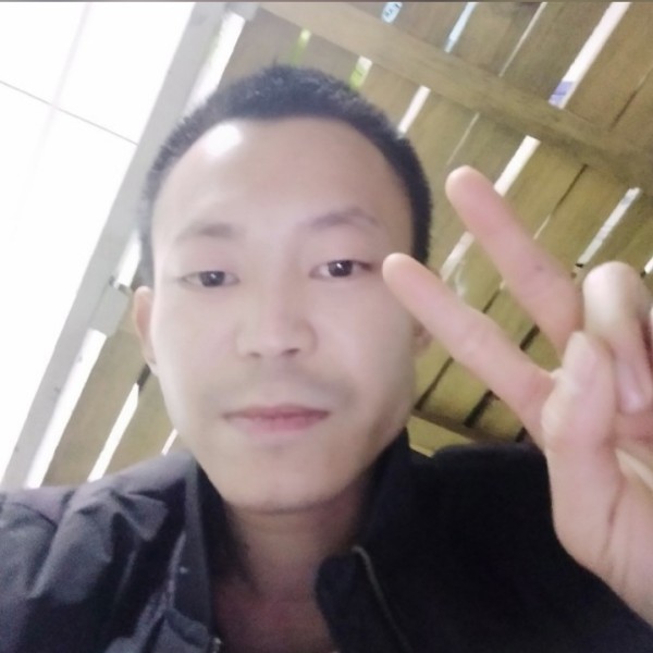 鲤鱼就冷风的照片
