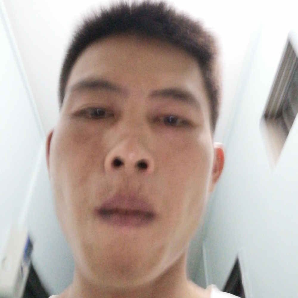狂野停止火的照片