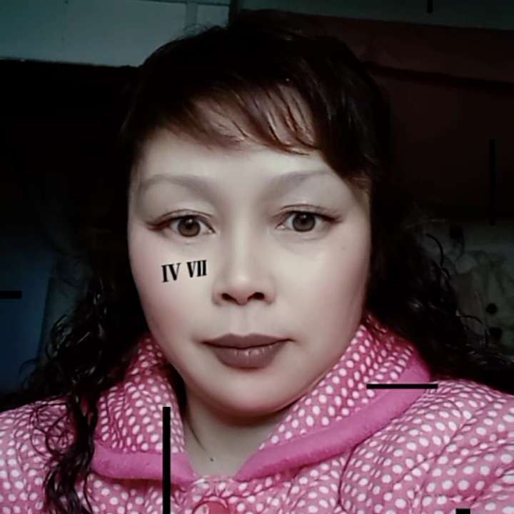 等爱的玫瑰的照片