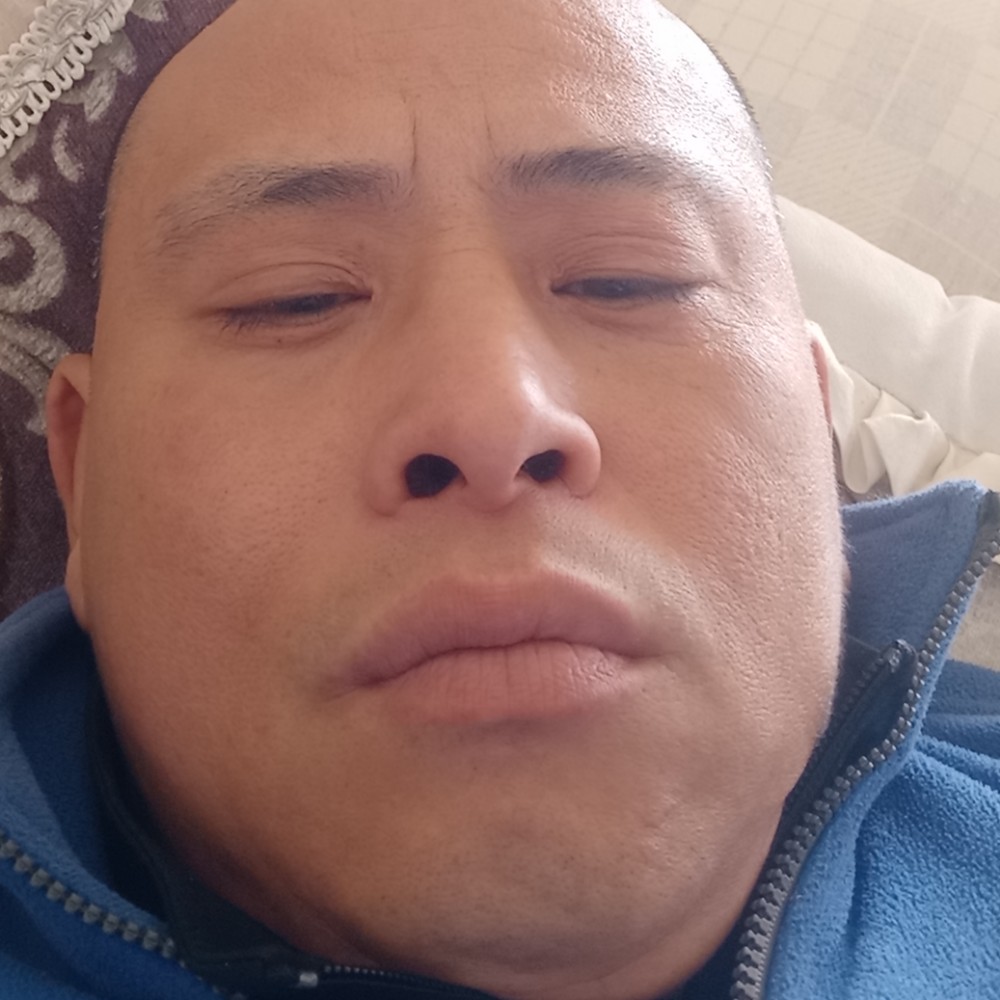 汤大象的照片