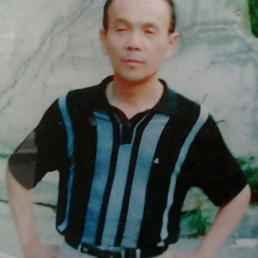 细雨浅笑吻梧桐的照片