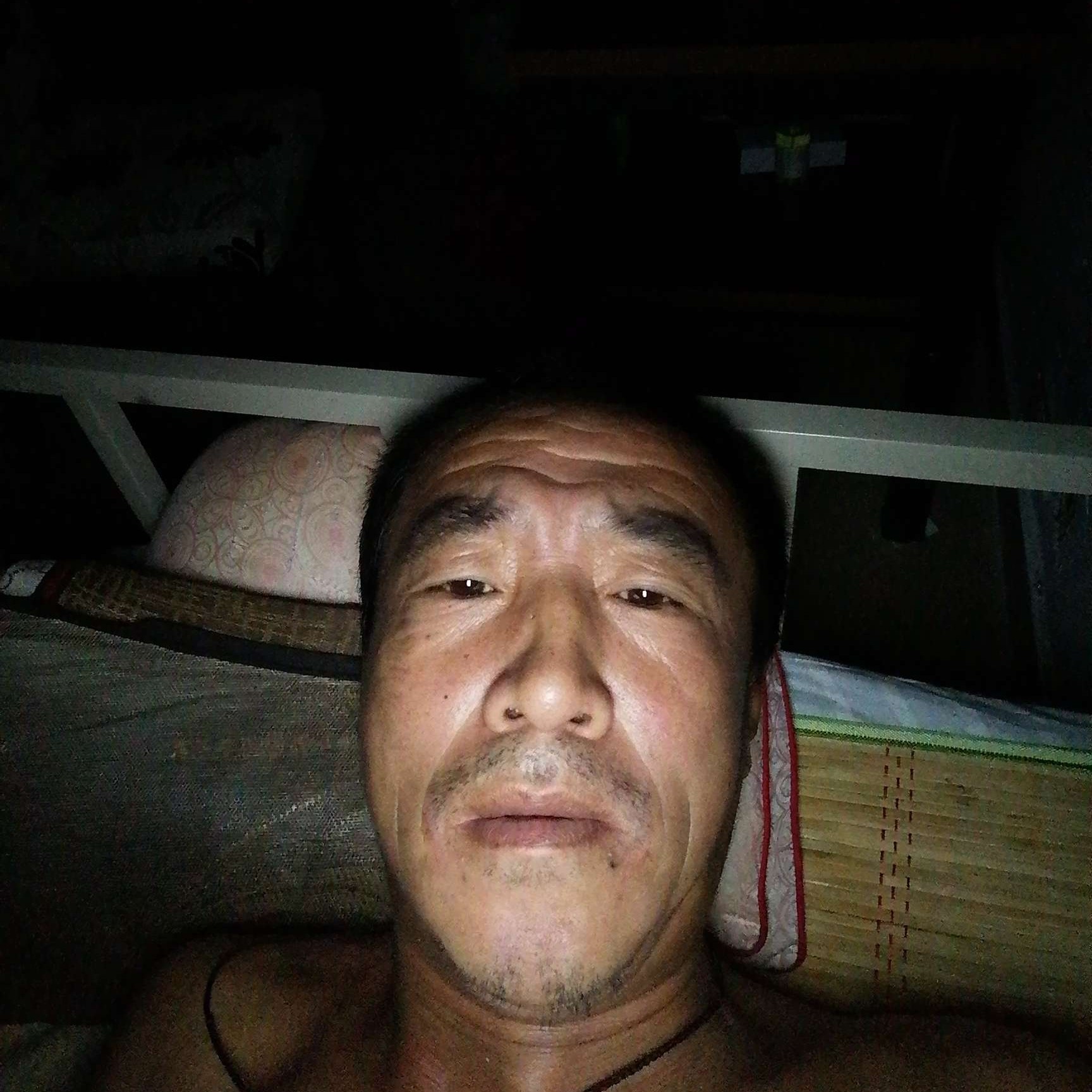 飞鸟爱恋生动的照片