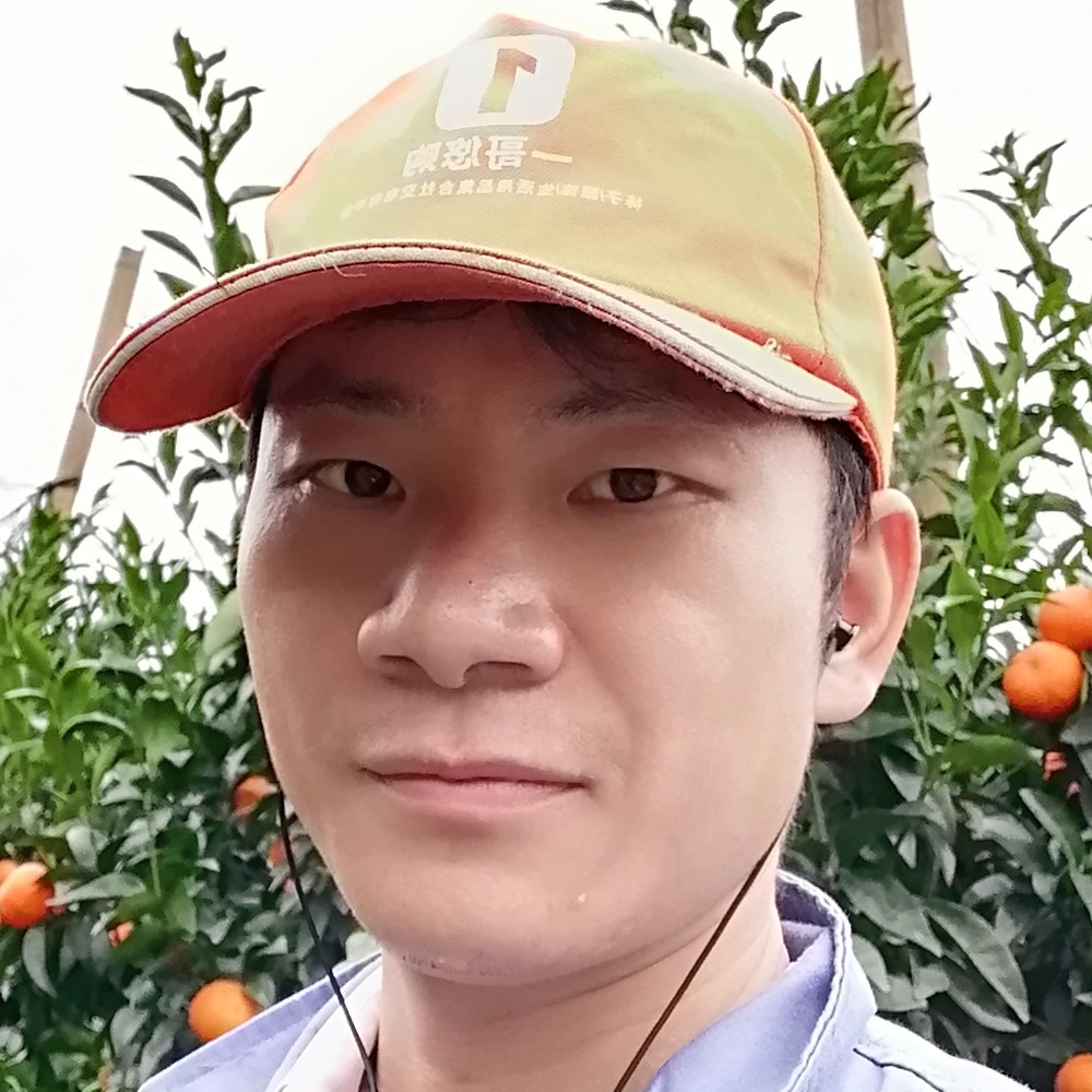 银耳汤凝眸美好的照片