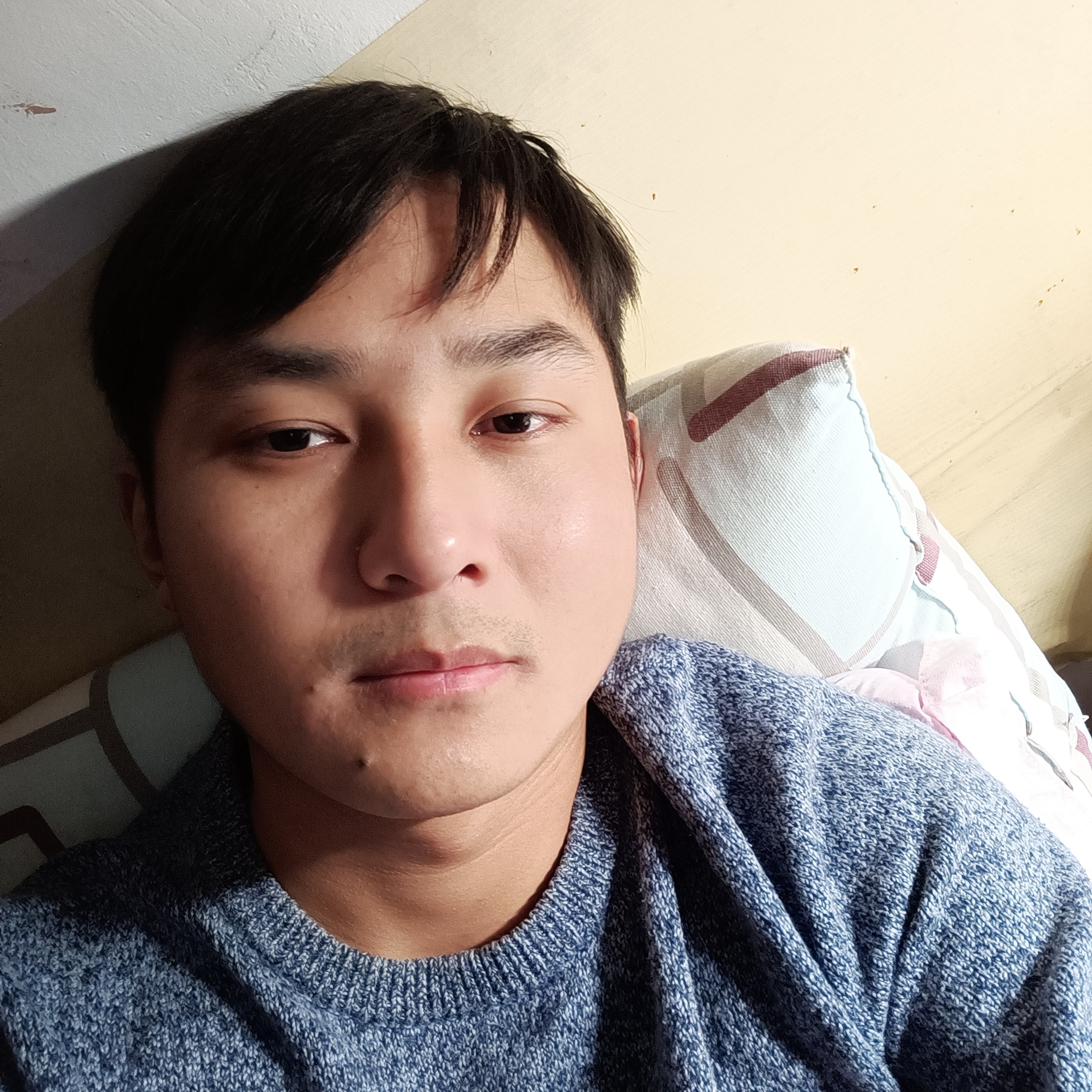 海豚不喝水的照片