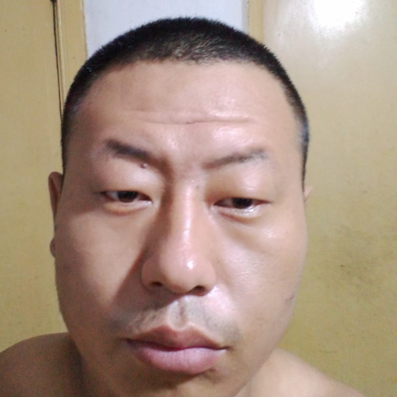 羽毛吃醋勤劳的照片