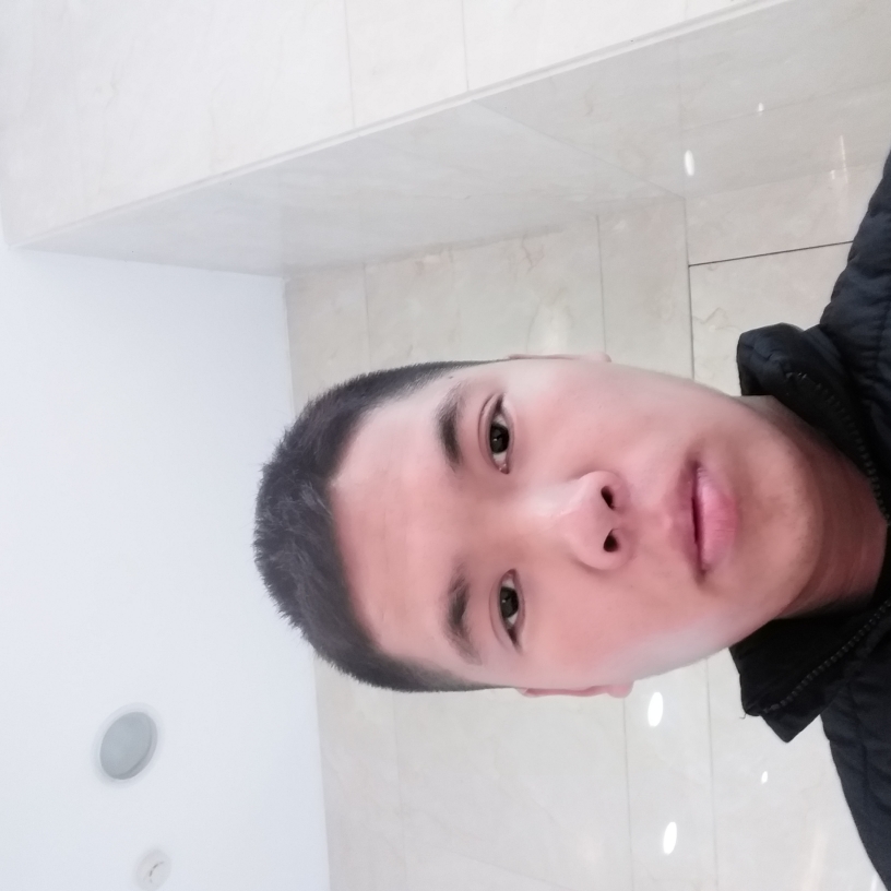 动人漫步吐司的照片