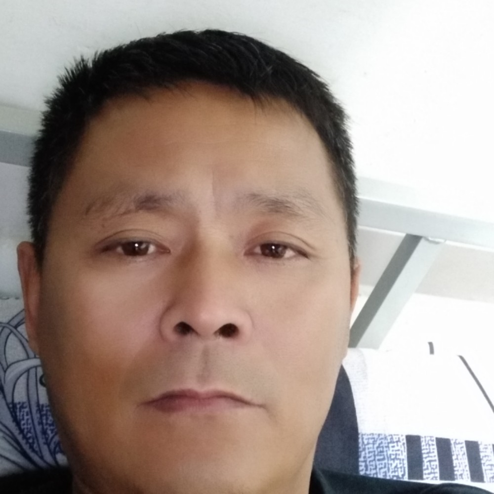 小鸽子洁净的照片