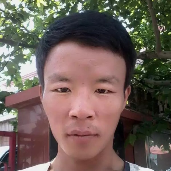 玫瑰停止忧虑的照片